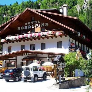 Hotel Rosalpina ***